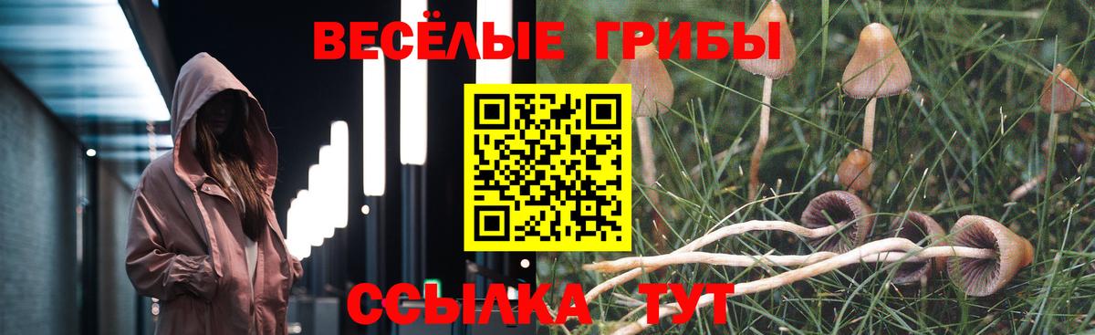 Унеча  Псилоцибиновые грибы GOLDEN TEACHER  Вход с VPN 